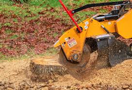 Best Tree Removal  in Brooklyn Park, MD